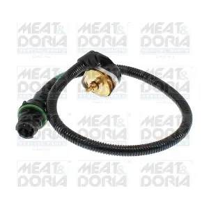 825036 MEAT & DORIA