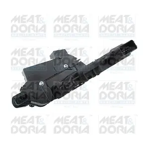 31393 MEAT & DORIA