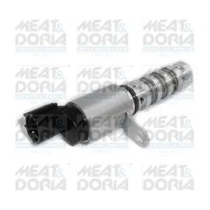 91546 MEAT & DORIA