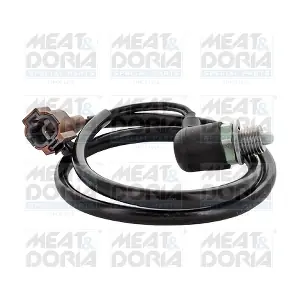 36129 MEAT & DORIA