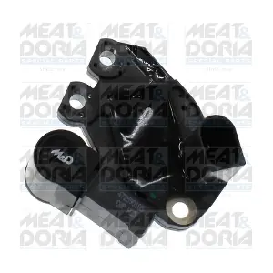 52146 MEAT & DORIA
