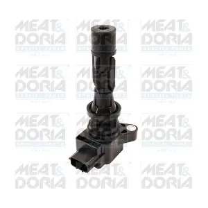 10828 MEAT & DORIA