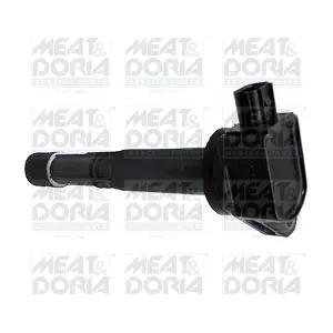 10690 MEAT & DORIA