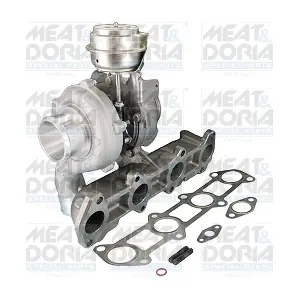 65066 MEAT & DORIA