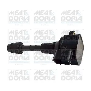 MEAT & DORIA 10723