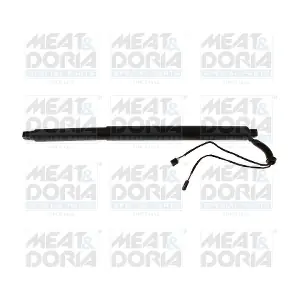 301124 MEAT & DORIA