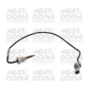 12493 MEAT & DORIA