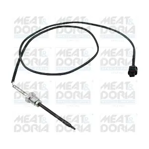 11980E MEAT & DORIA