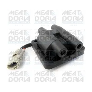 10385 MEAT & DORIA