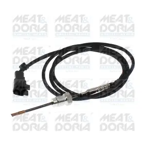 12523 MEAT & DORIA