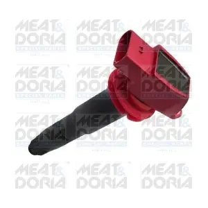 10697 MEAT & DORIA