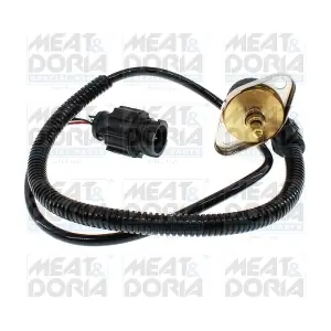 825038 MEAT & DORIA