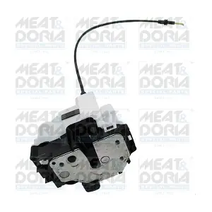 31062 MEAT & DORIA