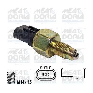 36043 MEAT & DORIA