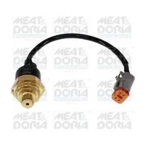 72161 MEAT & DORIA