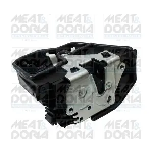 31250 MEAT & DORIA