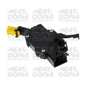 35239 MEAT & DORIA