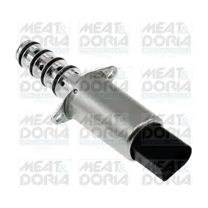 915007 MEAT & DORIA