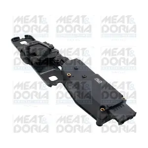 31867 MEAT & DORIA