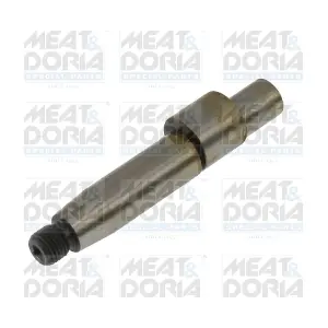 98696 MEAT & DORIA