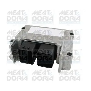 208005 MEAT & DORIA