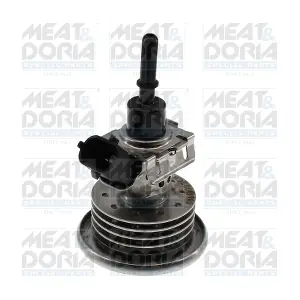 73053 MEAT & DORIA