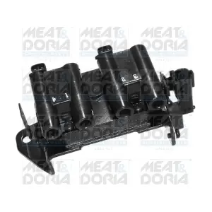 10447 MEAT & DORIA