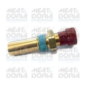 87824 MEAT & DORIA