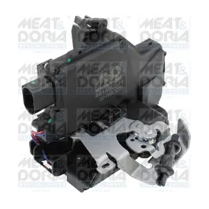 31684 MEAT & DORIA