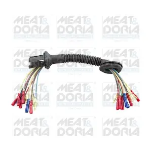 25368 MEAT & DORIA
