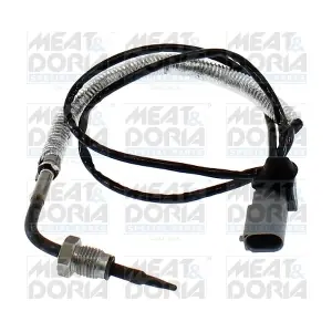 12862 MEAT & DORIA