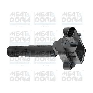 10456 MEAT & DORIA