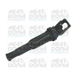 MEAT & DORIA 10381