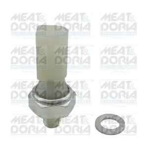 72080 MEAT & DORIA