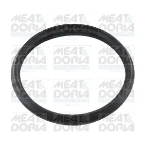 016110 MEAT & DORIA