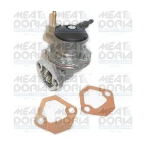 MEAT & DORIA POC062