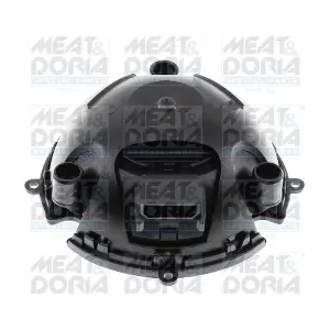 38556 MEAT & DORIA