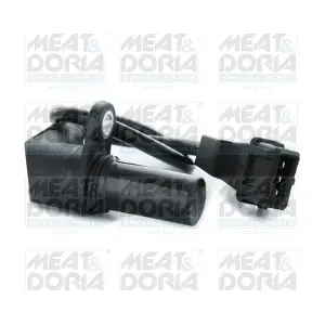 87491 MEAT & DORIA