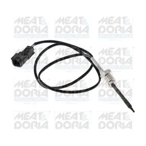 65585 MEAT & DORIA