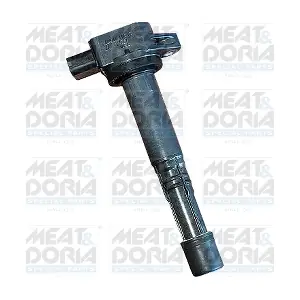 MEAT & DORIA 10563