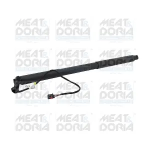 301069 MEAT & DORIA