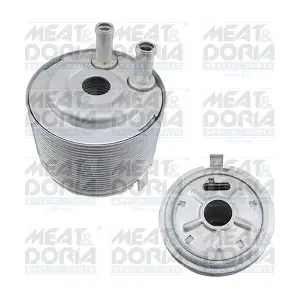 95298 MEAT & DORIA