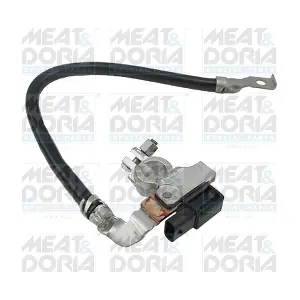 241006 MEAT & DORIA