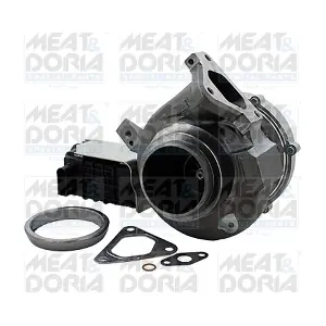 65346 MEAT & DORIA