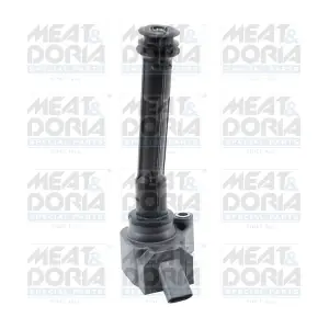 10889 MEAT & DORIA