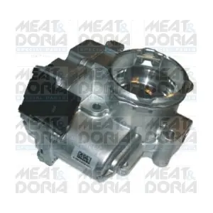 89056 MEAT & DORIA