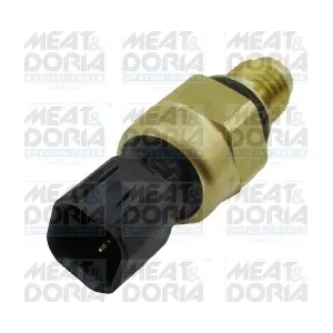 72068 MEAT & DORIA