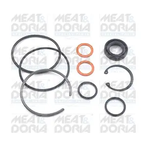 37011 MEAT & DORIA