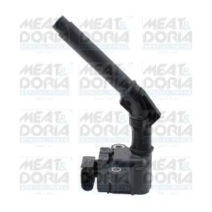 MEAT & DORIA 10895