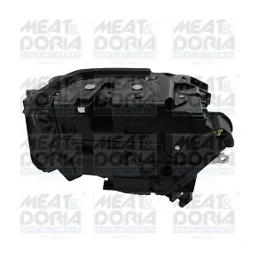 31352 MEAT & DORIA